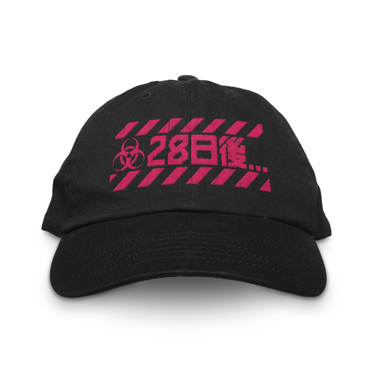 28 DAYS LATER DAD HAT