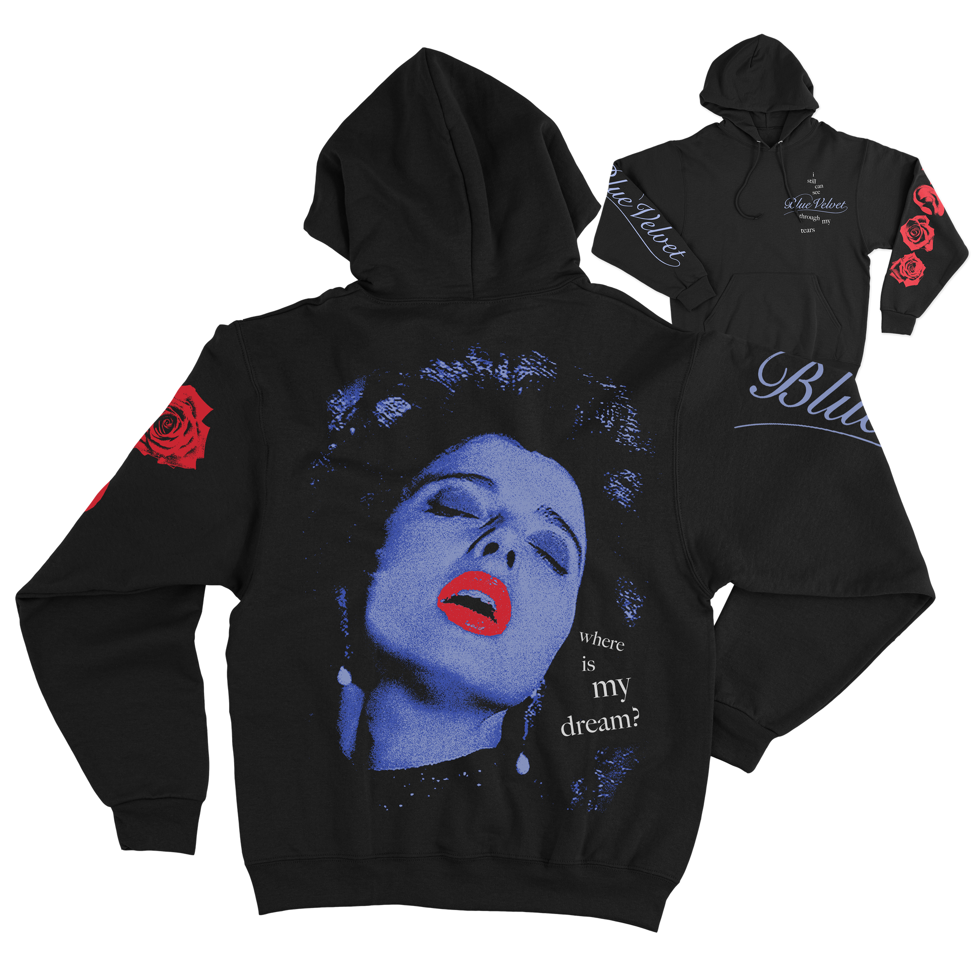 BV MY DREAM HOODIE