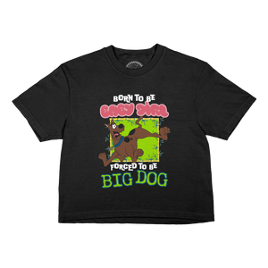 BIG DOG BOXY TEE PREORDER